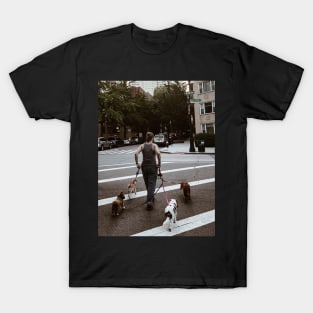 Dog sitter, Manhattan, New York City T-Shirt